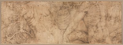 Torsoer med ribbeinbur, tidlig på 1540-tallet. av Battista Franco