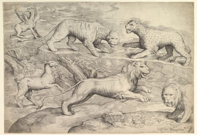 Seks dyr, inkludert løver, en tiger, en leopard, en griffin og en geit, ca. 1530-61. av Battista Franco Veneziano