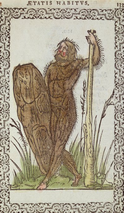 The Wild Man, illustrasjon fra The Habits and Portraits of Nearly All Nations and Contemporary Nations av Jean Sluperji, Antwerpen, 1572 (fargetresnitt) av Belgian School