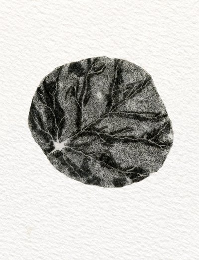 Leaf, 2014, (tregravering på papir) av Bella Larsson