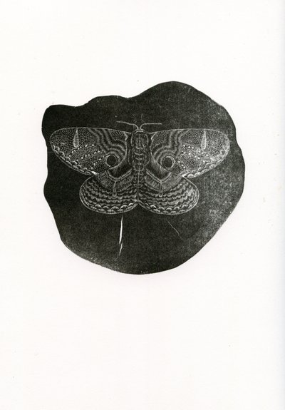 Night Butterfly, 2016, (tregravering på papir) av Bella Larsson