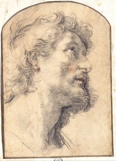 Studie av hodet til Saint Crispin av Benedetto Luti