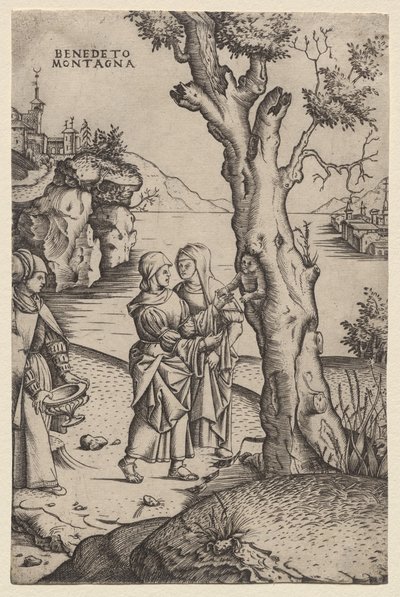 Birth of Adonis (fra serien: The Metamorphoses) av Benedetto Montagna