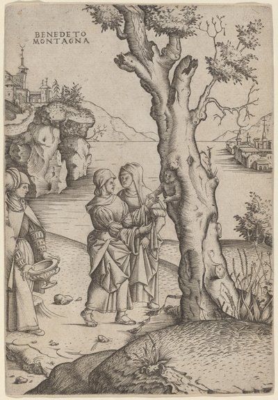 Fødsel av Adonis av Benedetto Montagna