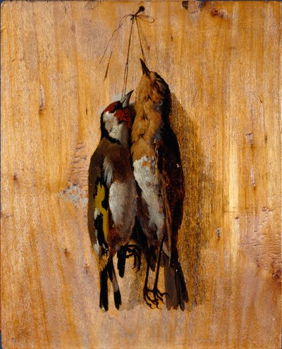 Studie av etter naturen To døde fuglenåler på veggen. Maleri av Benedetto Musso (1835-1883) 1864 rundt søndag. 20,5x16,5 cm gener, Galleria d