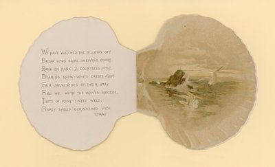 Illustrasjon for hefte med tittelen Sea Shells (color litho) av Benjamin D. Sigmund