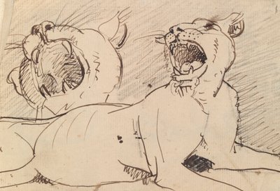 Studie av en løvinne av Benjamin Robert Haydon