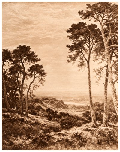Solnedgang etter regn, 1903 av Benjamin Williams Leader