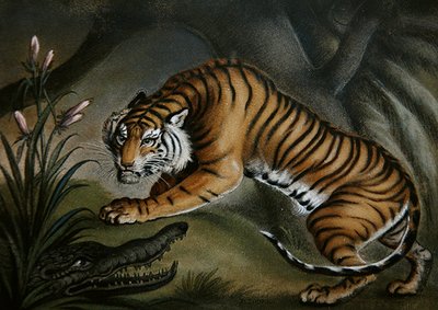 Tiger og krokodille, ca. 1810 (sandbilde om bord) av Benjamin Zobel