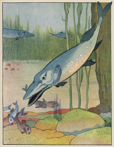 Fisk av Benjamin Rabier