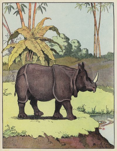 Indisk neshorn av Benjamin Rabier