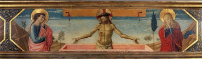Ukjent bilde av Benozzo di Lese di Sandro Gozzoli