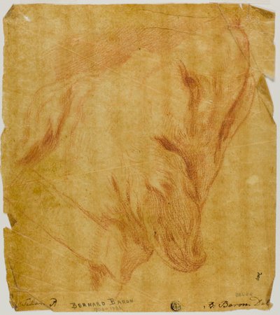 Hodet til en hund av Bernard Baron