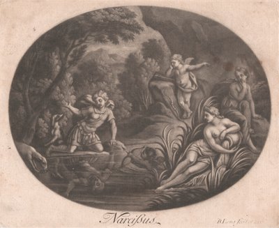 Narcissus av Bernard Lens