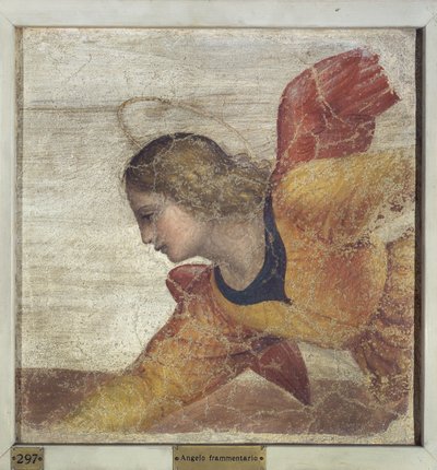Engel av Bernardino Luini