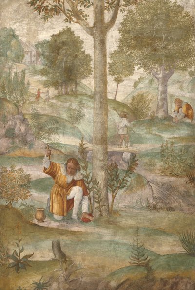 Kefalos gjemmer juvelene av Bernardino Luini