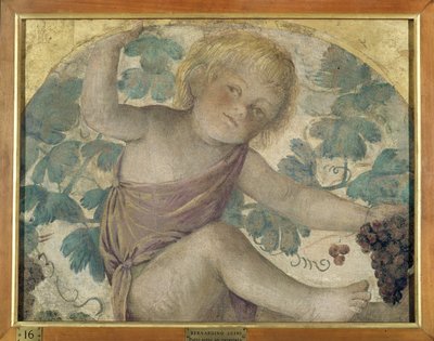 Høsting av putti - Putto under en pergola, ca. 1514 (frittstående freskomaleri båret om bord) av Bernardino Luini
