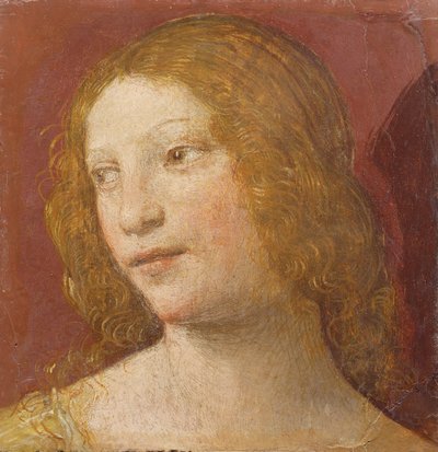 Leder for en ung kvinne av Bernardino Luini