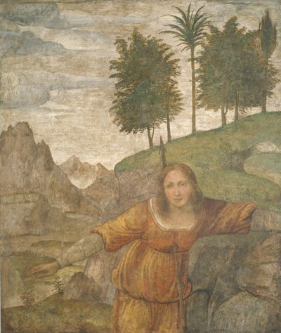 Procris gjennomboret av Cephalus