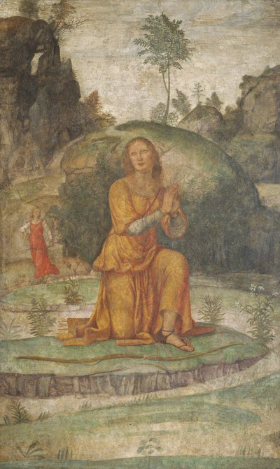 Procris 