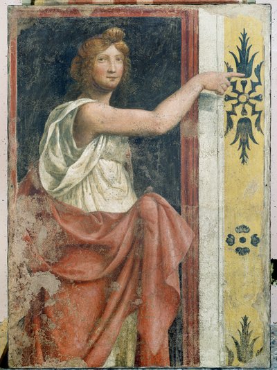 Sibyl av Bernardino Luini