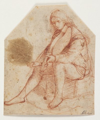 Sittende ungdom med bratsj av Bernardino Luini