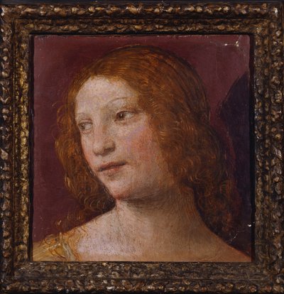 Hodet til en engel - et fragment av Bernardino Luini