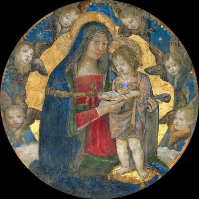 Madonna og barn med kjeruber, 1492-1495. av Bernardino Pinturicchio