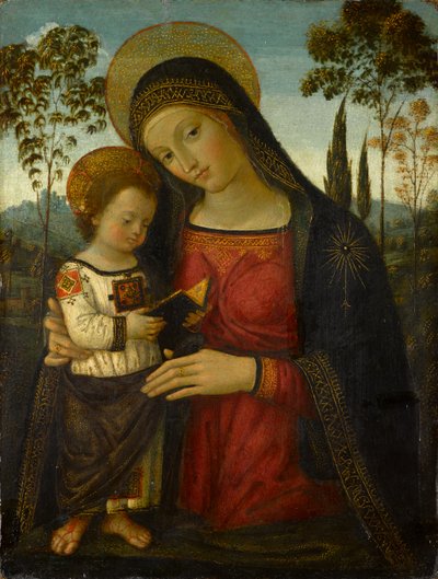 Madonna og barn, ca 1490-1495 (tempera på panel) av Bernardino di Betto Pinturicchio