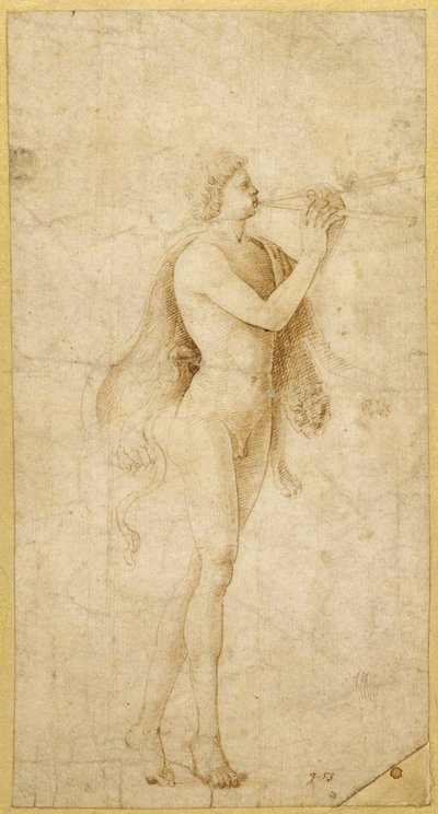  av Bernardo Parentino