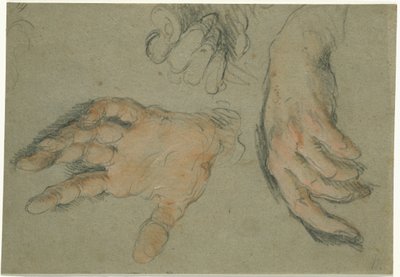 Study of Three Hands, 1625-30 (svart og rødt kritt på papir) av Bernardo Strozzi
