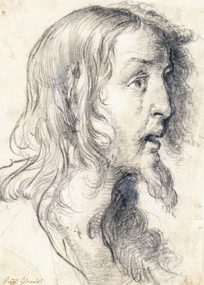 Kristi hode i profil til høyre, av Bernardo Strozzi