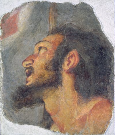 The Head of St. John the Baptist, fragment fra en freske av Bernardo Strozzi