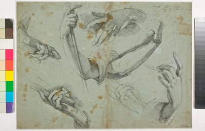 Ukjent bilde av Bernardo Strozzi
