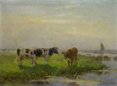 Kyr i Enga av Bernardus Antonie van Beek