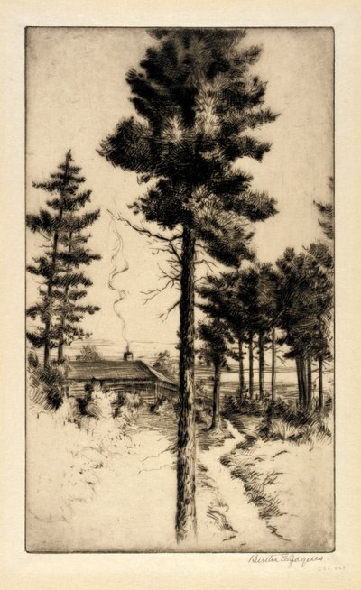 Hytte i villmarken av Bertha E. Jaques