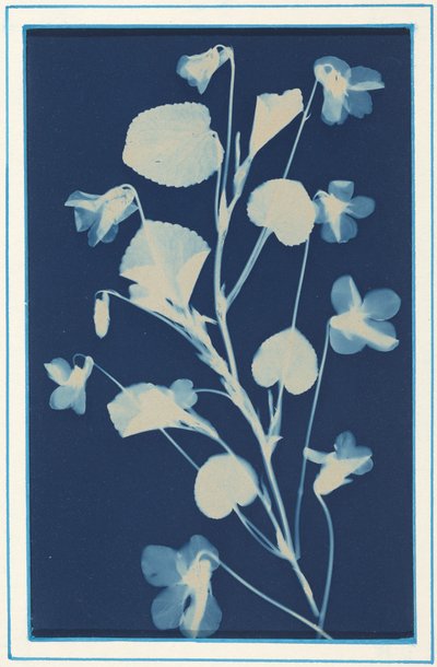  av Bertha Jaques