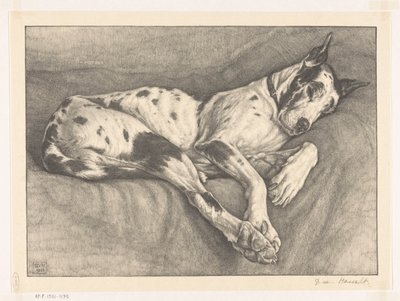 sovende hund av Bertha van Hasselt (signed by artist)