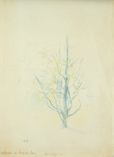 Busker ved sjøen, 1893 (farget blyant på papir) av Berthe Morisot