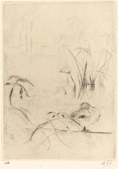 Ducks at Rest on the Bank, 18881890. av Berthe Morisot