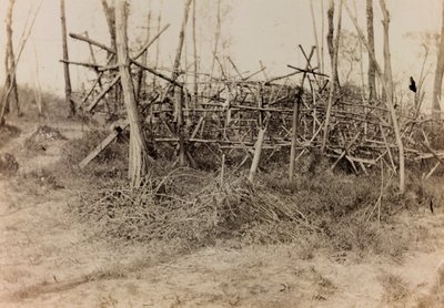 Album av første verdenskrig i Friuli-Venezia Giulia: defensiv hindring (frisiske hester), 05/1916 (s/h foto) av Bertoni Bertoni