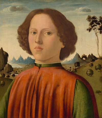 Portrett av en gutt, ca. 14761480. av Biagio d