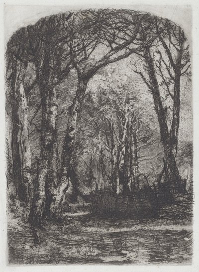 Woods [Bosco], ca. 1895. av Bianchi Mose
