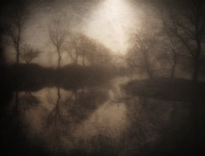 av Bill Eiffert
