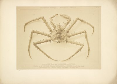 av Bisson Frères