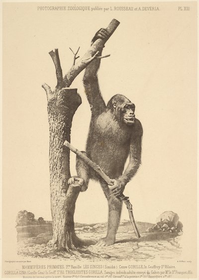  av Bisson Frères