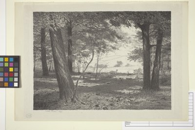 Edge Of The Woods (blekk på papir) av Bolton Coit Brown