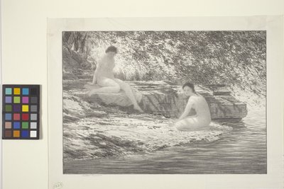 Lake Ladies (blekk på papir) av Bolton Coit Brown