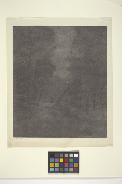 Moonlight Woods (blekk på papir) av Bolton Coit Brown