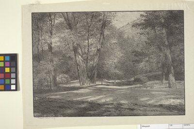 Sierra Woods (blekk på papir) av Bolton Coit Brown